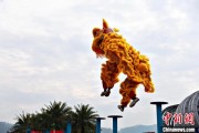 抽签看事（文化中国行）壮乡狮舞闯南洋：脚踏“云桩” 饮誉海内外