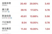 抽签看事“苏超”爆火！300651，“20cm”涨停